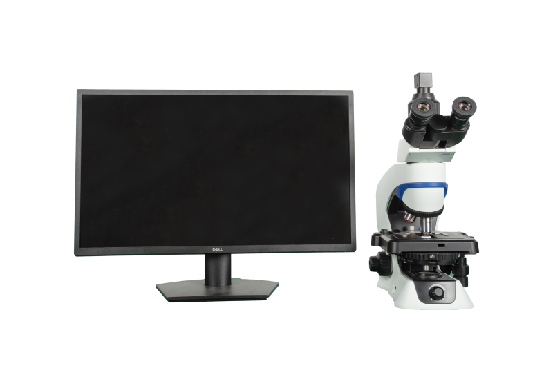 MIP-0982.png